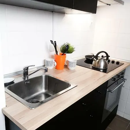 Victoriei 91 Apartment *